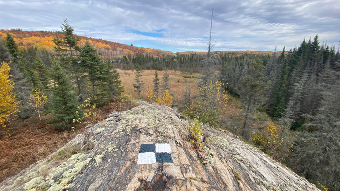 DRONE SURVEYS + MAPPING